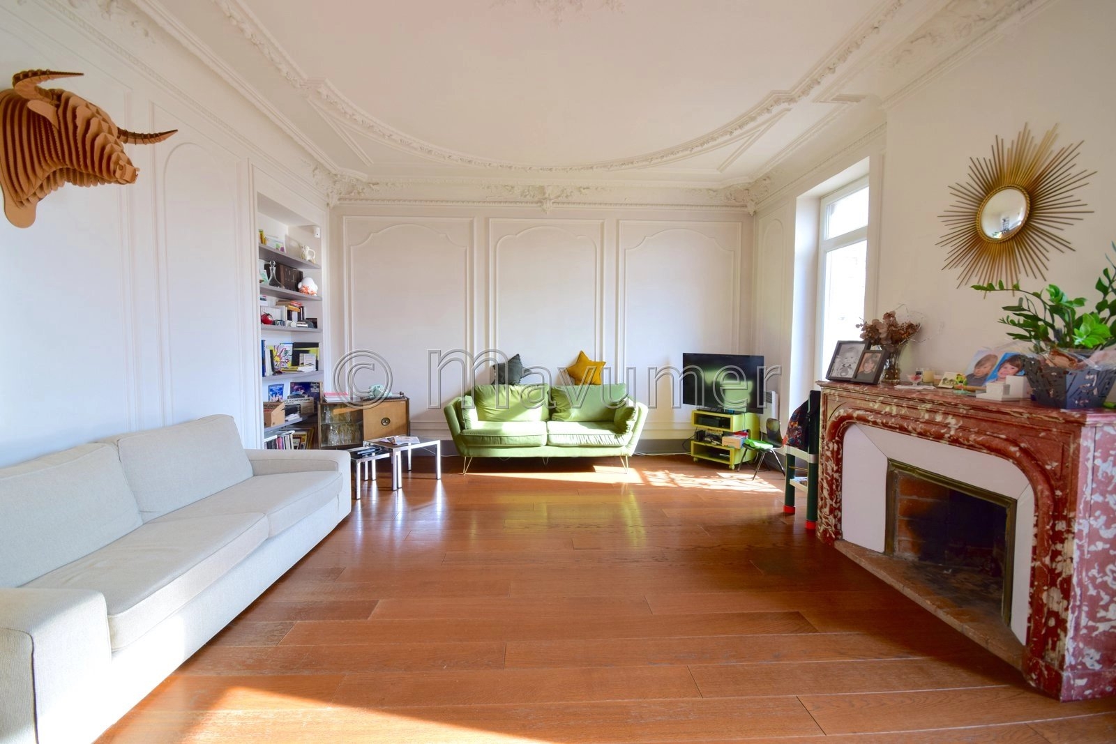 Salon Parquet Cheminée