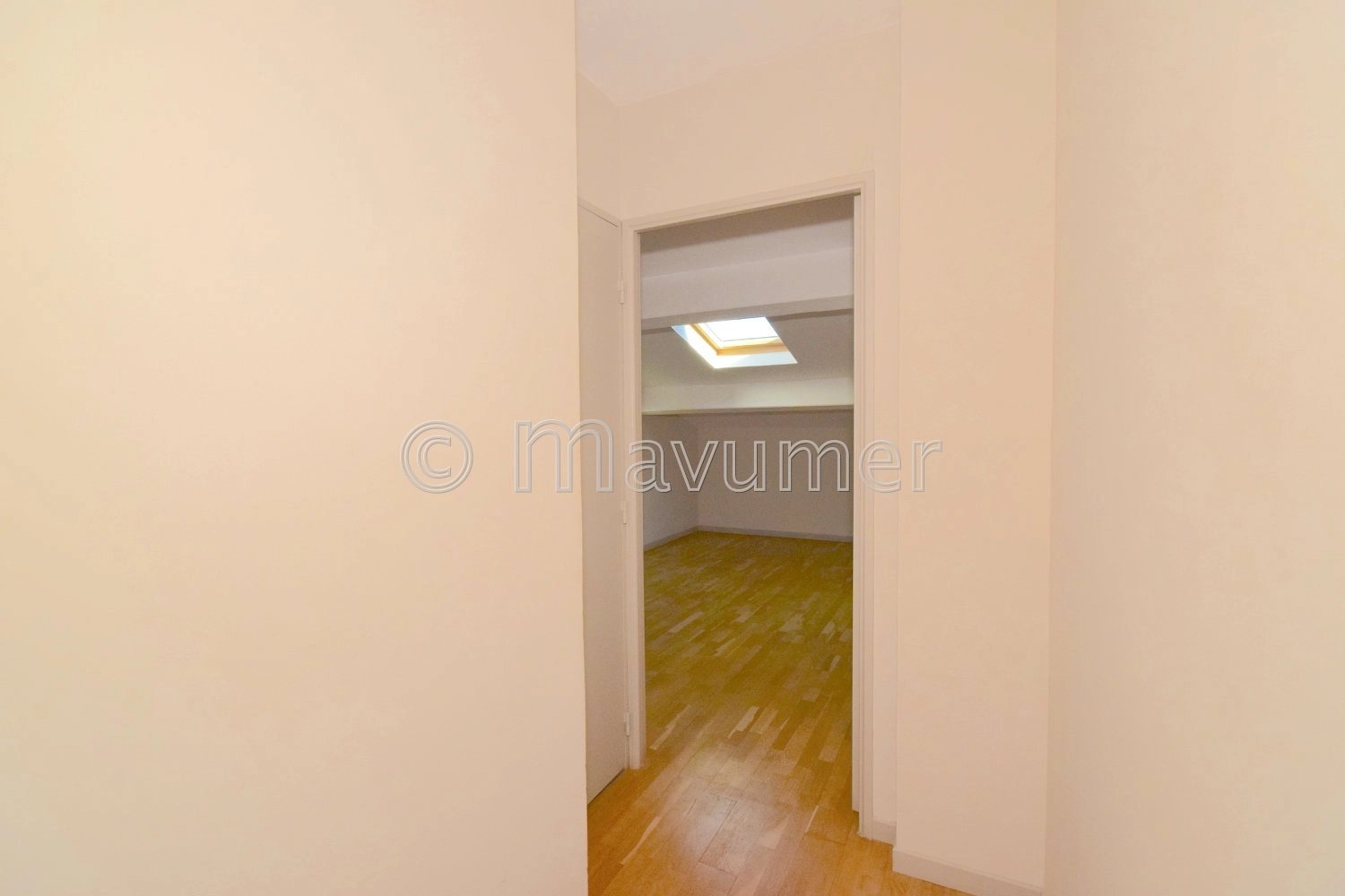 Couloir Parquet