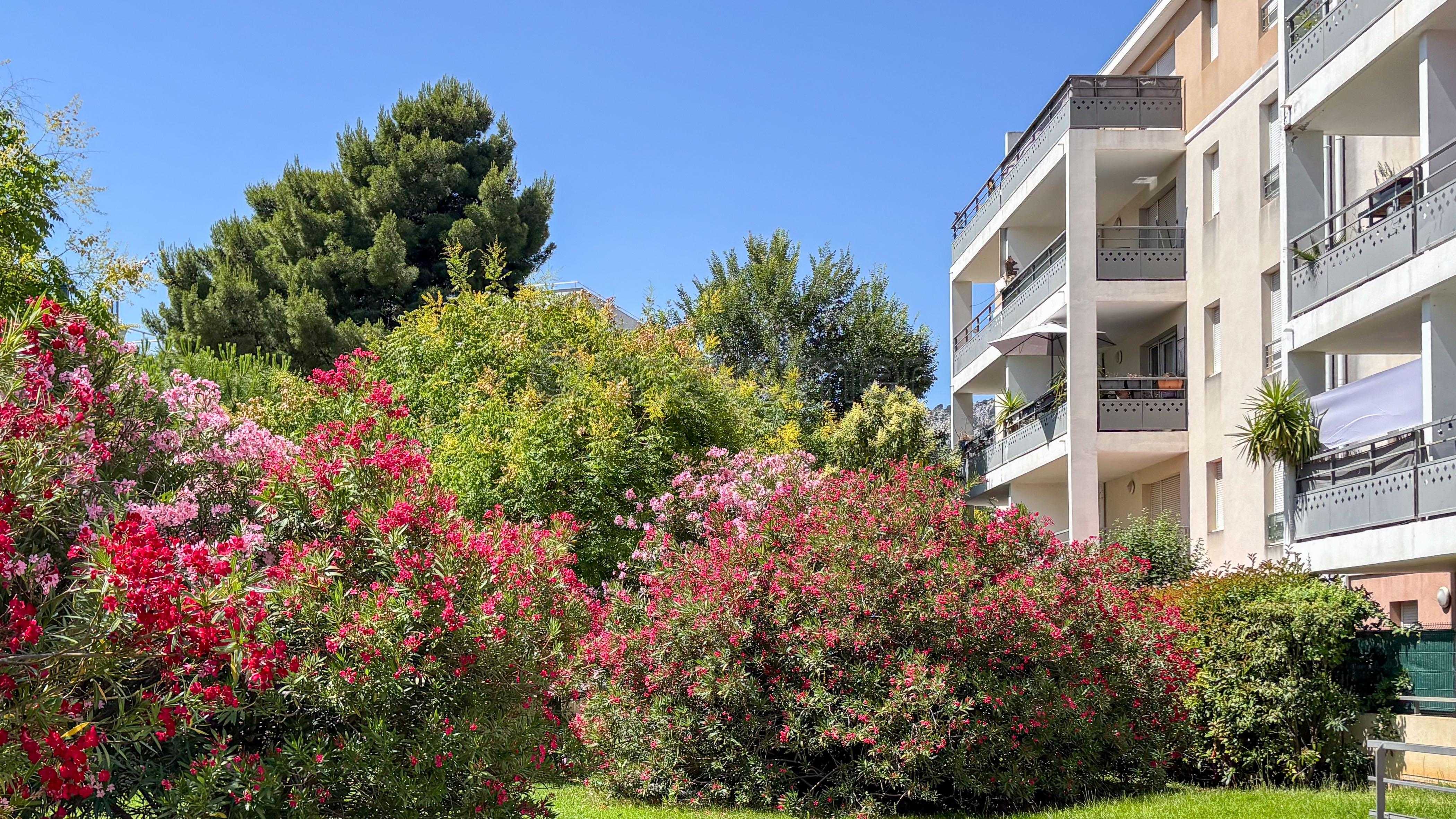 Appartement T3 - dernier étage - terrasse 16m2 - double box - 13009 Marseille n°2