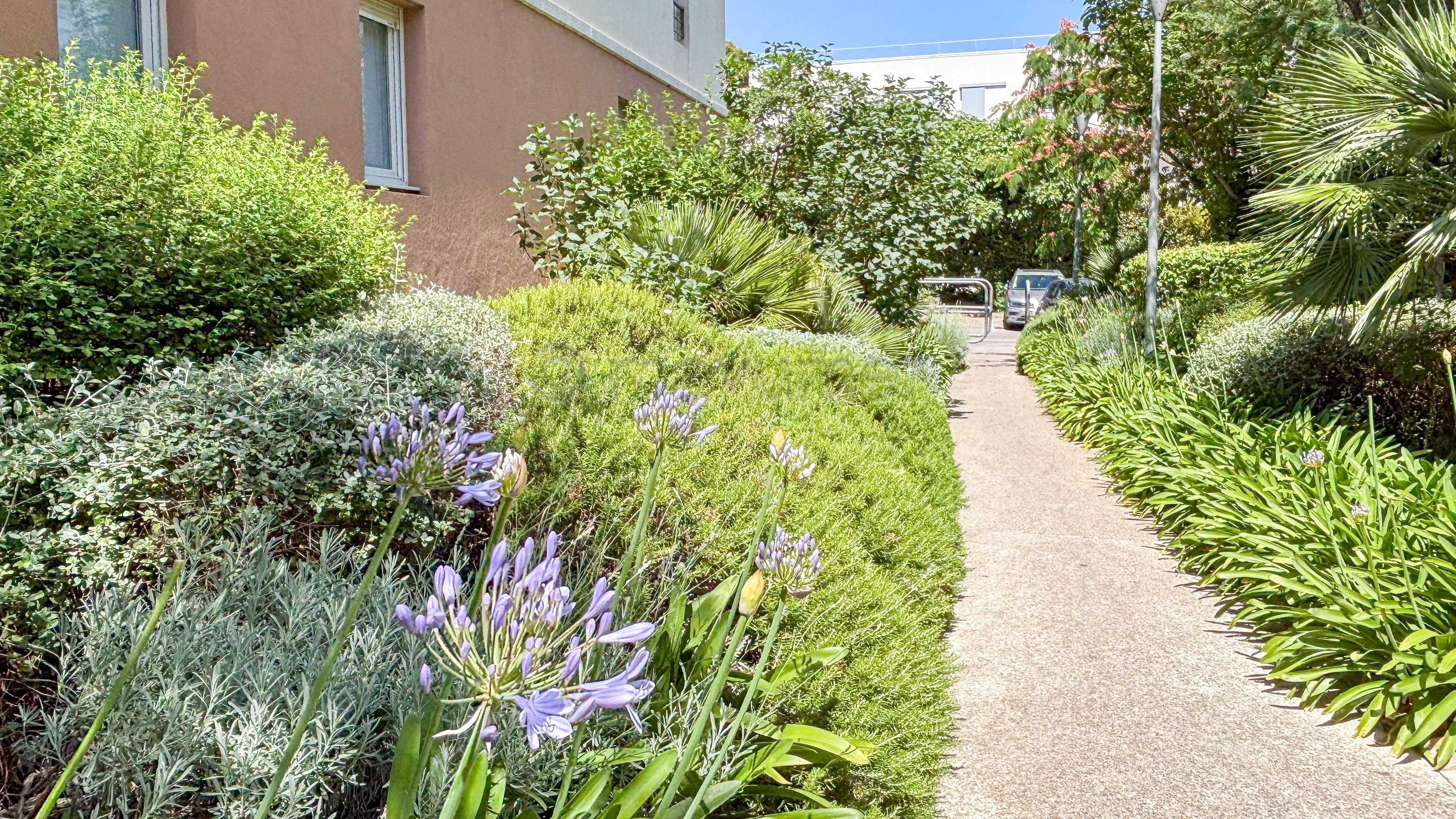Appartement T3 - dernier étage - terrasse 16m2 - double box - 13009 Marseille n°3